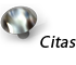Citas